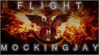 Flight of the Mockingjay