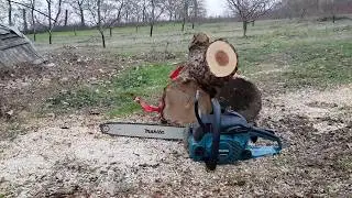 Makita ea3201 chainsaw