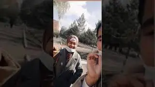 Панда ламианға барғанда