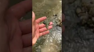 Shark Graveyard part 2!