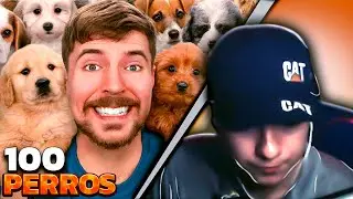 COLOMBIANO REACCIONA A MRBEAST RESCATA 100 PERROS!