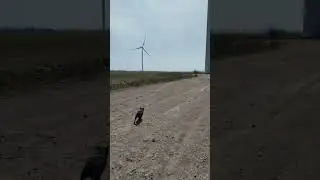 Пейзажная Шпулька🤣👍 