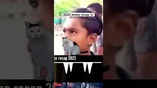 Cat memes rewind 2023 