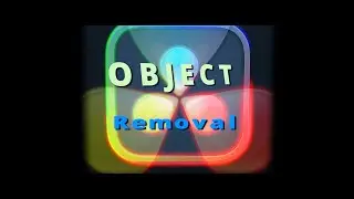 DaVinci Resolve 19 - Object Removal