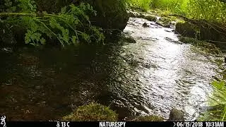 Browning Command Ops Pro example video - dipper
