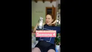 Semana 4 - Prueba de Embarazo 🧪