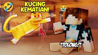 KOCAK! Jangan Pelihara Kucing OREN!! part.1😂