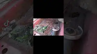 Обзор Джеты 2
