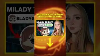 MILADY MEME COIN BEST OVERVIEW