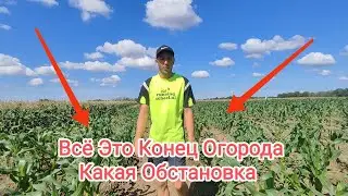 Всё Это Конец Огорода Какая Обстановка Херсонская Область