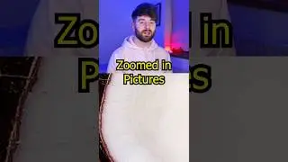 Zoomed in Pictures - part 38 #irish #shorts #irishyoutuber #youtubeshorts #zoom
