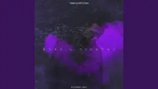 Взял и полетел