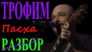 Сергей Трофимов — «Пасха» | Разбор на гитаре: аккорды и бой