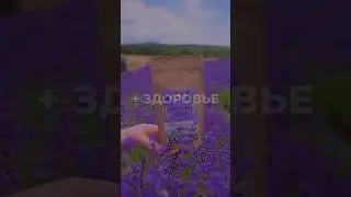 ‪@travi-krima‬