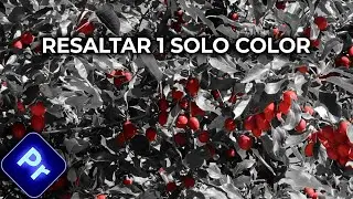 Cómo resaltar 1 solo color en Premiere Pro (Tutorial rápido)
