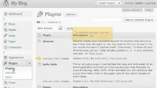Manage your plugins in WordPress - By SquareBrothers.com