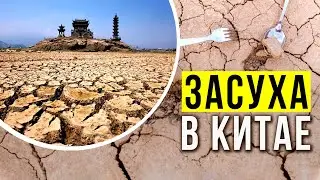 Засуха в Китае может привести к голоду