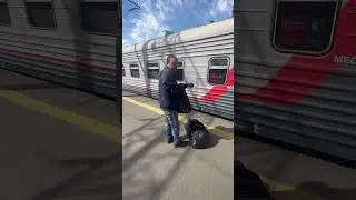 УЕХАЛ ЦЫГАН НА ЮГА