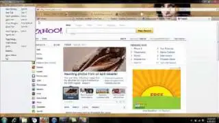 Firefox Bot in use