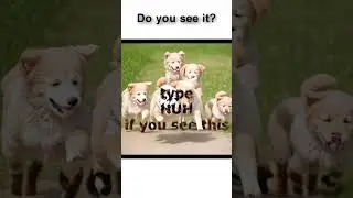 squint your eyes 