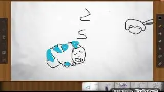 sans cat