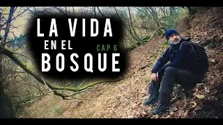 LA VIDA EN EL BOSQUE - Cap6: Fototrampeo en el BOSQUE mas SINIESTRO que conozco.
