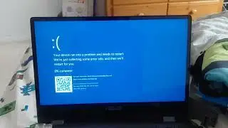 SMG4: THE END BSOD