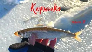 Корюшка на Песчаном. Северная бухта. Декабрь 2021. Часть 2