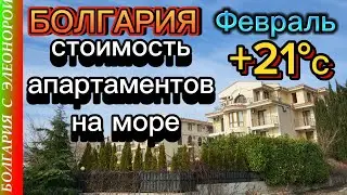 У Нас Продают Квартиры - Какие Цены? | Лето в Феврале в Болгарии