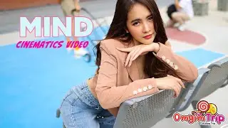 เที่ยวคาเฟ่กับน้อง มายด์ Cinematic Vlog