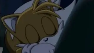 Just a regular image of Tails sleeping