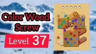 Color Wood Screw Level 37