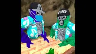 Total Gorilla Drama!!!! Episode 1 (300 sub series special)