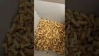 Фасовка лакомств для собак на упаковочном автомате SP-3000🦮