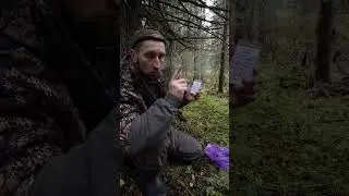 КАК ПРАВИЛЬНО МАНИТЬ РЯБЧИКА