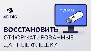 Как восстановить отформатированные данные с USB-накопителя/флешки? 2024
