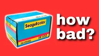 The strangest film I've ever seen