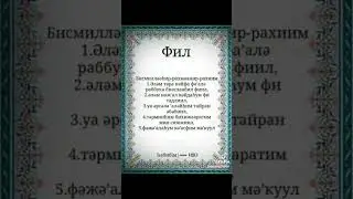 1 декабря 2023 г.