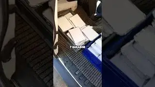 Цель: заработать 1.000.000₽ в тарифе грузовой! День 82!