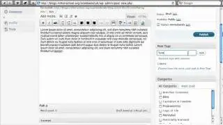 Publishing a Basic Blog Post