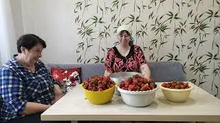 Переселили цыплят. Забрали мозаику для ванной. Почему мы не уезжаем?