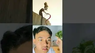 Entah apa Yang dipikirkan nenek ini 😂