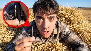FIND THE NEEDLE IN THE HAYSHADE and get RICH!