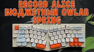 WEIKAW RECORD ALICE | ОБЗОР И СБОРКА КАСТОМА