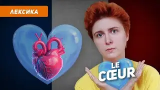 70+ французских выражений со словом le cœur (сердце)