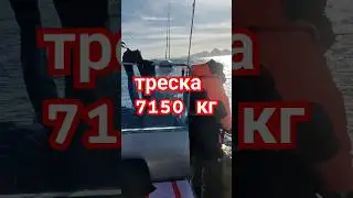 Ловля Крупной Трески в Норвегии