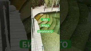 Два разных биоплато  в пруду | ПРУД ПРУДИ