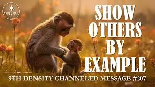207. Ascension Messages - Show Others By Example