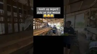 bukan fauzana tapi eka😅#ternak kambing#fauzana #masiyun #viralvideo #viralshorts