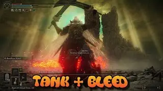 Elden Ring DLC : Defeating Last Boss Radahn consort of Miquella (Tank + Bleed build)
